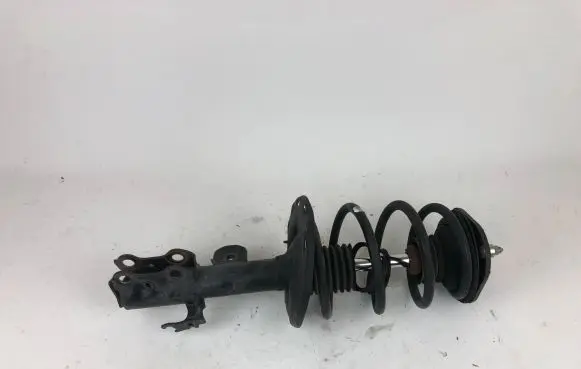 Toyota Mirai Front shock absorber with coil spring 4852062010