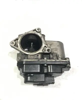 Seat Exeo (3R) EGR valve 03L131501E 043951989
