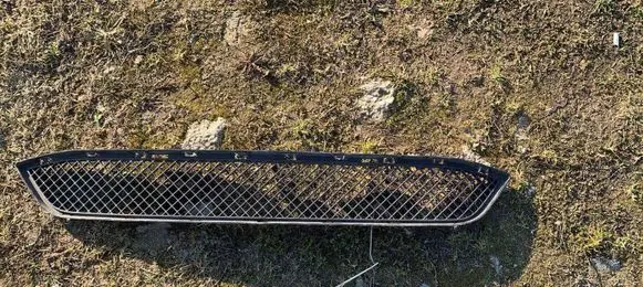 BMW X1 E84 Front grill 7303752