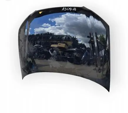 Audi A3 S3 8P Engine bonnet/hood N60TEILE