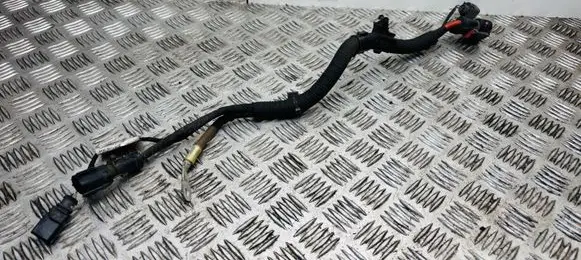 Audi A5 Other wiring loom 8W2971111C