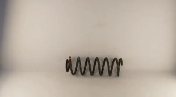 Ford Transit - Tourneo Connect Rear coil spring