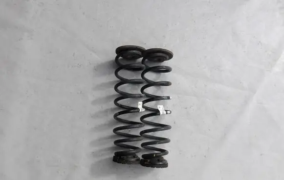 Rear coil spring