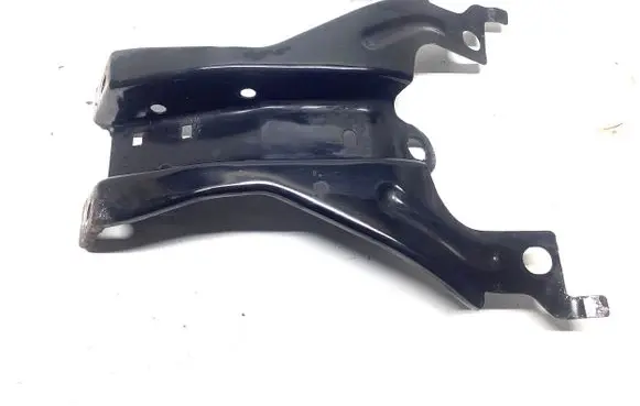 Engine bonnet/hood lock trim molding