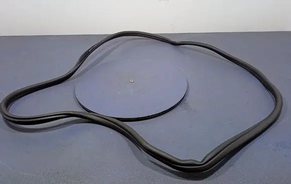 BMW X4 F26 Front door rubber seal 7416498