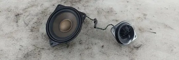 Panel speaker
