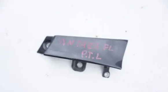 Rear/tail light trim molding