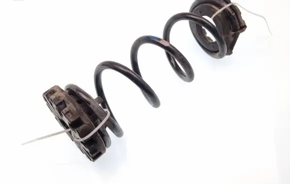 Nissan Murano Z52 Rear coil spring 550363JA0A