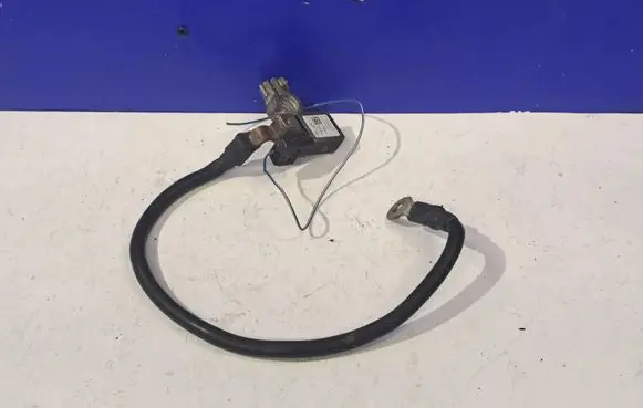Mercedes-Benz E W211 Negative earth cable (battery) A1665420418