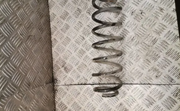 Skoda Octavia Mk2 (1Z) Rear coil spring