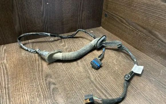 Front door wiring loom