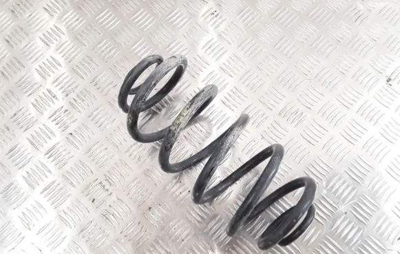 Opel Insignia A Rear coil spring