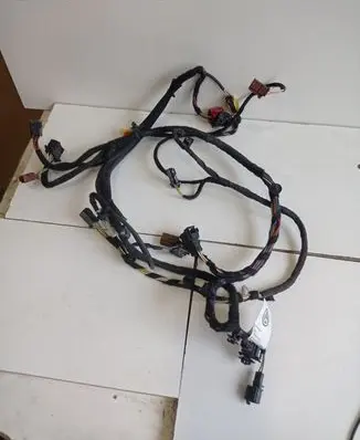 Volkswagen Atlas Front door wiring loom 3CN971391A