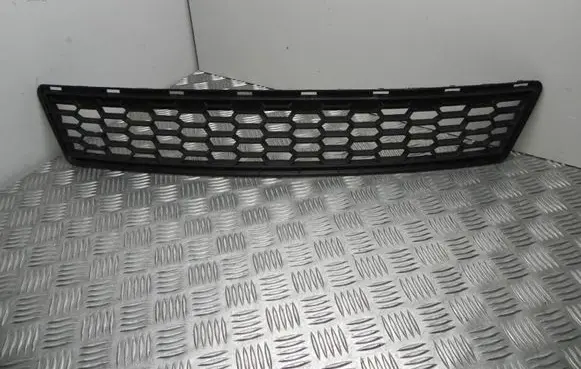 BMW X3 F25 Front grill 8048097 I11539