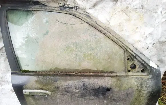 Ford Scorpio Front door pilkos