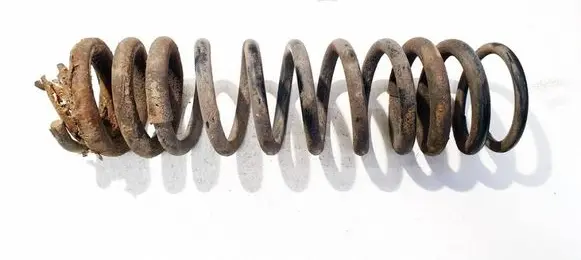 Ford Focus Rear coil spring 