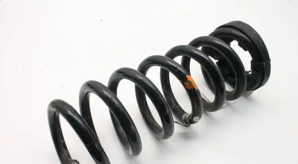 Land Rover Discovery Sport Rear coil spring FK725B749GB