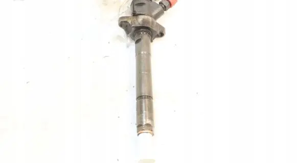 Citroen C4 I Picasso Fuel injector 0445110297