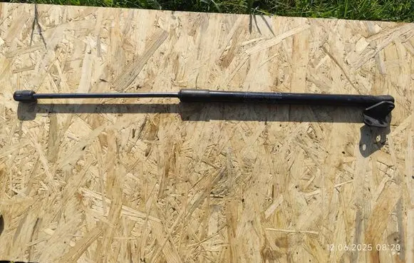 Tailgate/trunk strut/damper
