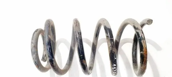 Hyundai Santa Fe Rear coil spring
