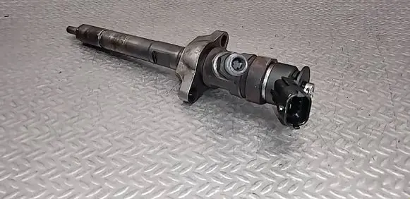 Citroen C3 Picasso Fuel injector 0445110297