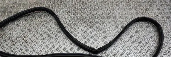 Nissan 350Z Rubber seal loading door 