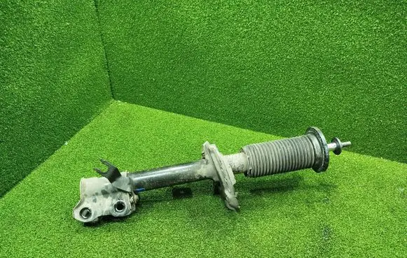 Renault Arkana Front shock absorber with coil spring 543039724R 540305060R