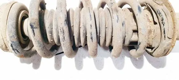 Rear coil spring