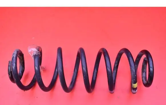Rear coil spring