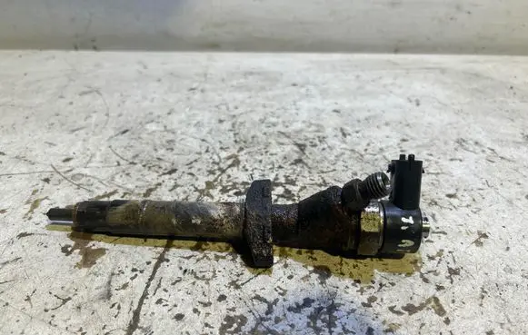 Opel Vivaro Fuel injector 0445110084
