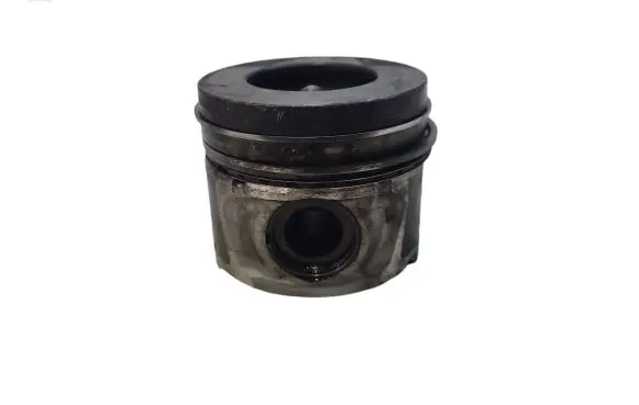 Opel Antara Piston 
