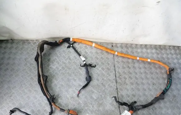 Renault Arkana Other wiring loom