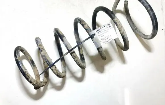 Rear coil spring