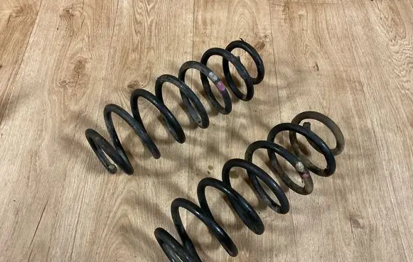 Rear coil spring