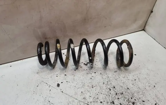 Rear coil spring