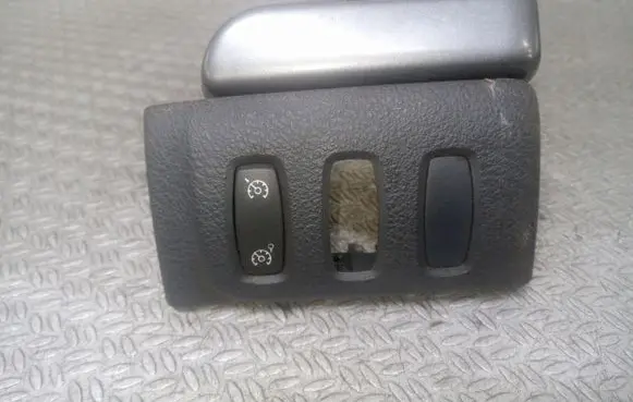 Renault Laguna II Cruise control switch 