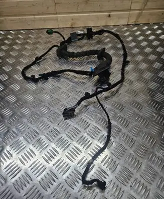 BMW 7 E65 E66 Front door wiring loom 6913124
