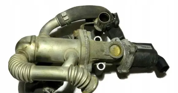 Opel Meriva A EGR valve 700020240
