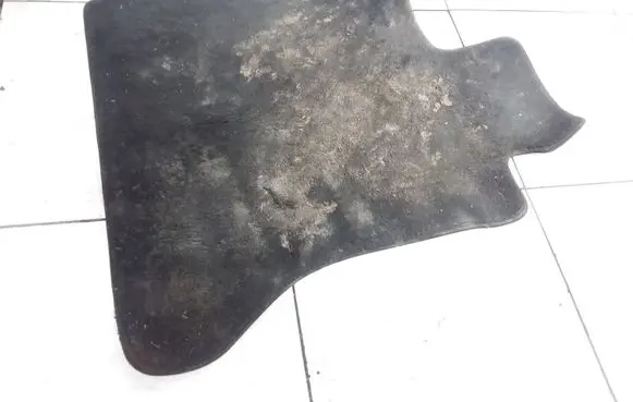 BMW 7 F01 F02 F03 F04 Front floor mat 10648011 A046744