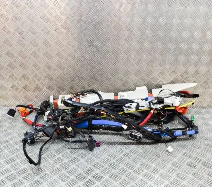 Tesla Model 3 Other wiring loom 306795503C