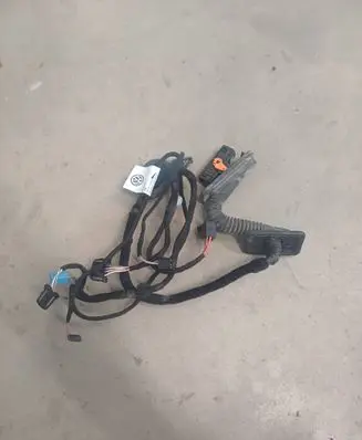 Volkswagen PASSAT B7 USA Rear door wiring loom 561971693AH