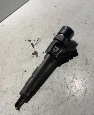 Renault Espace - Grand espace IV Fuel injector 0445110110b