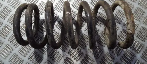 Rear coil spring
