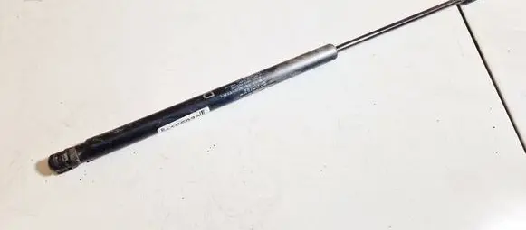 Tailgate/trunk strut/damper