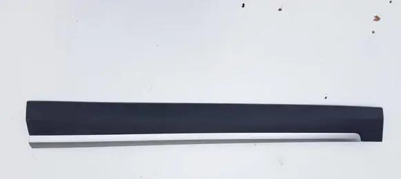 MG ZS Front door trim (molding) 10360762