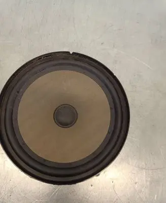 Volkswagen Tiguan Front door speaker 5N0035454B