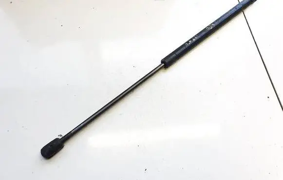 Tailgate/trunk strut/damper