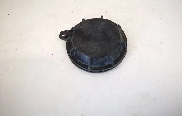 Headlight/headlamp dust cover