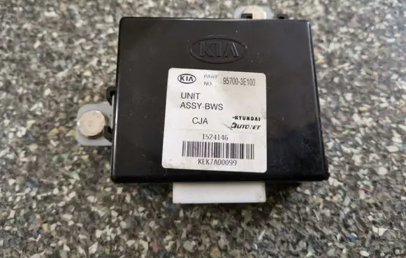 KIA Sorento Other control units/modules 957003E100