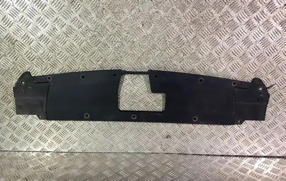 Engine bonnet/hood lock trim molding